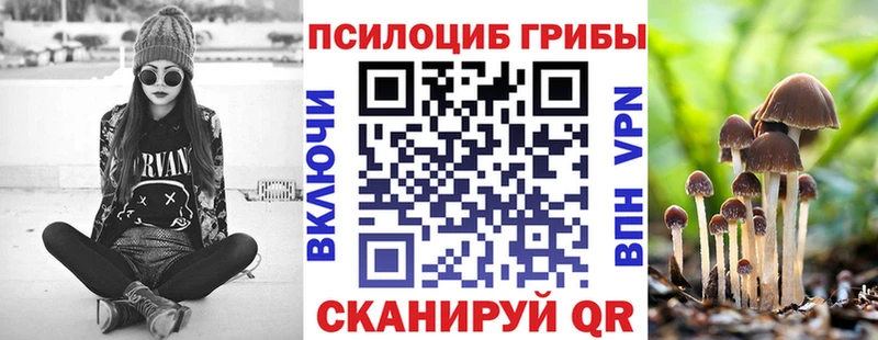 Галлюциногенные грибы Psilocybine cubensis Верея